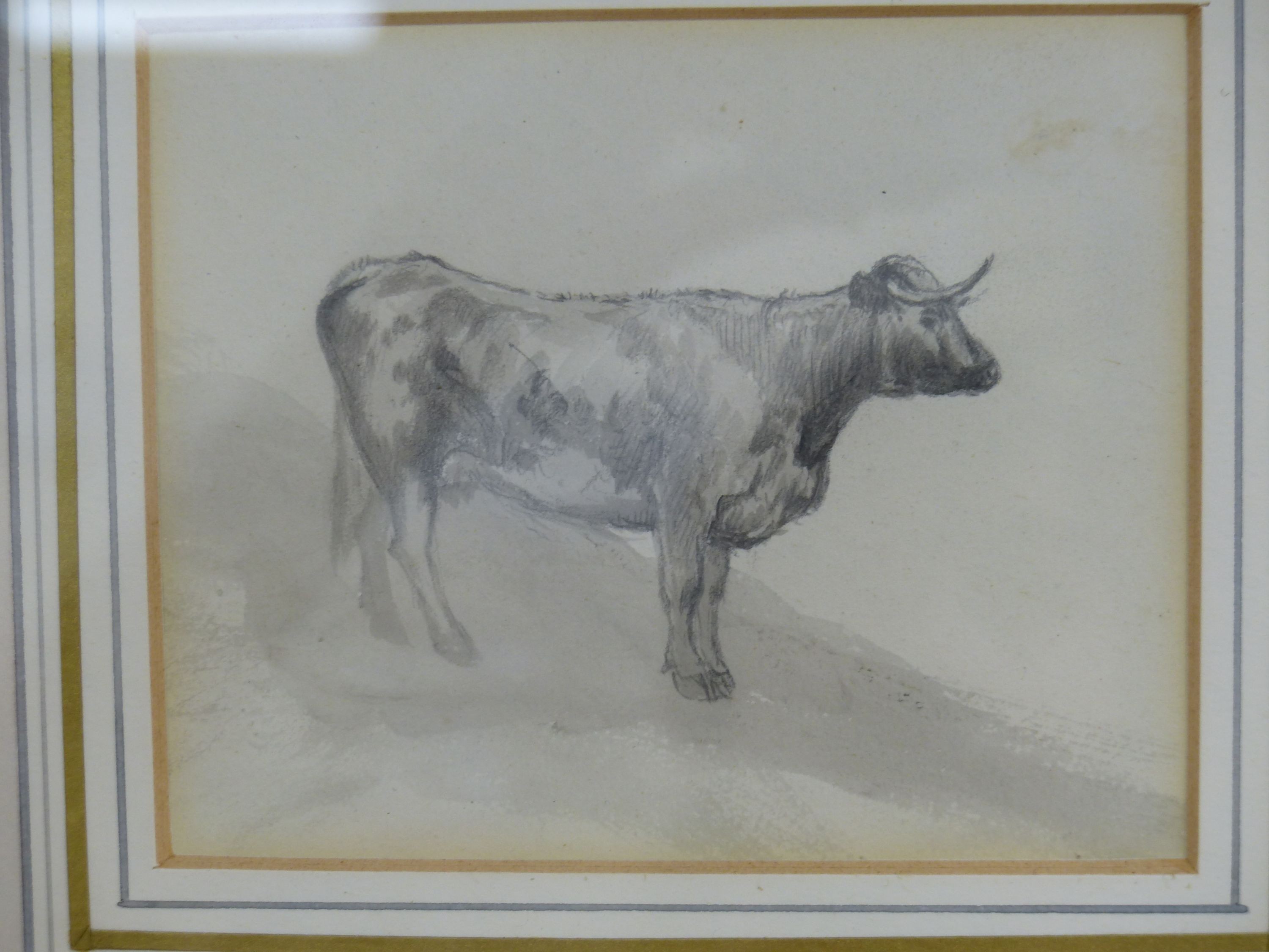 Sarah Gunner, pen and ink, Sketch of a seated bullock, 24 x 22cm, with a pencil and wash sketch of a bullock and two 19th century pen and ink landscapes